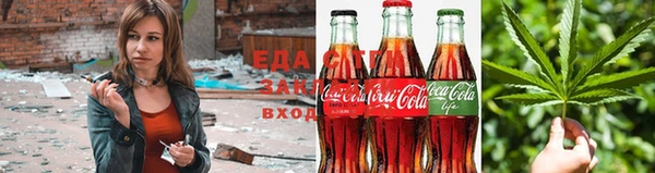 тгк Ельня