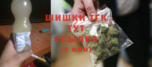 тгк Ельня