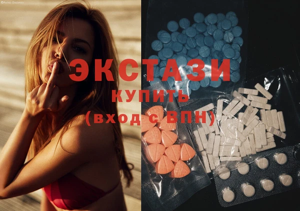 тгк Ельня