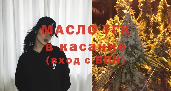тгк Ельня