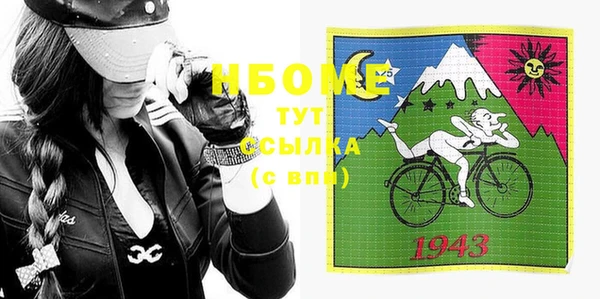 тгк Ельня
