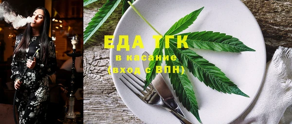 тгк Ельня