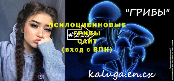 тгк Ельня