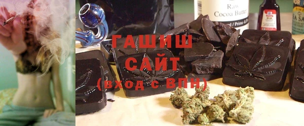 тгк Ельня