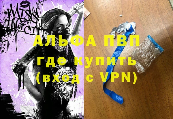 тгк Ельня
