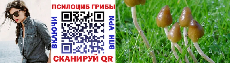 Купить  Дрезна  Галлюциногенные грибы MAGIC MUSHROOMS 